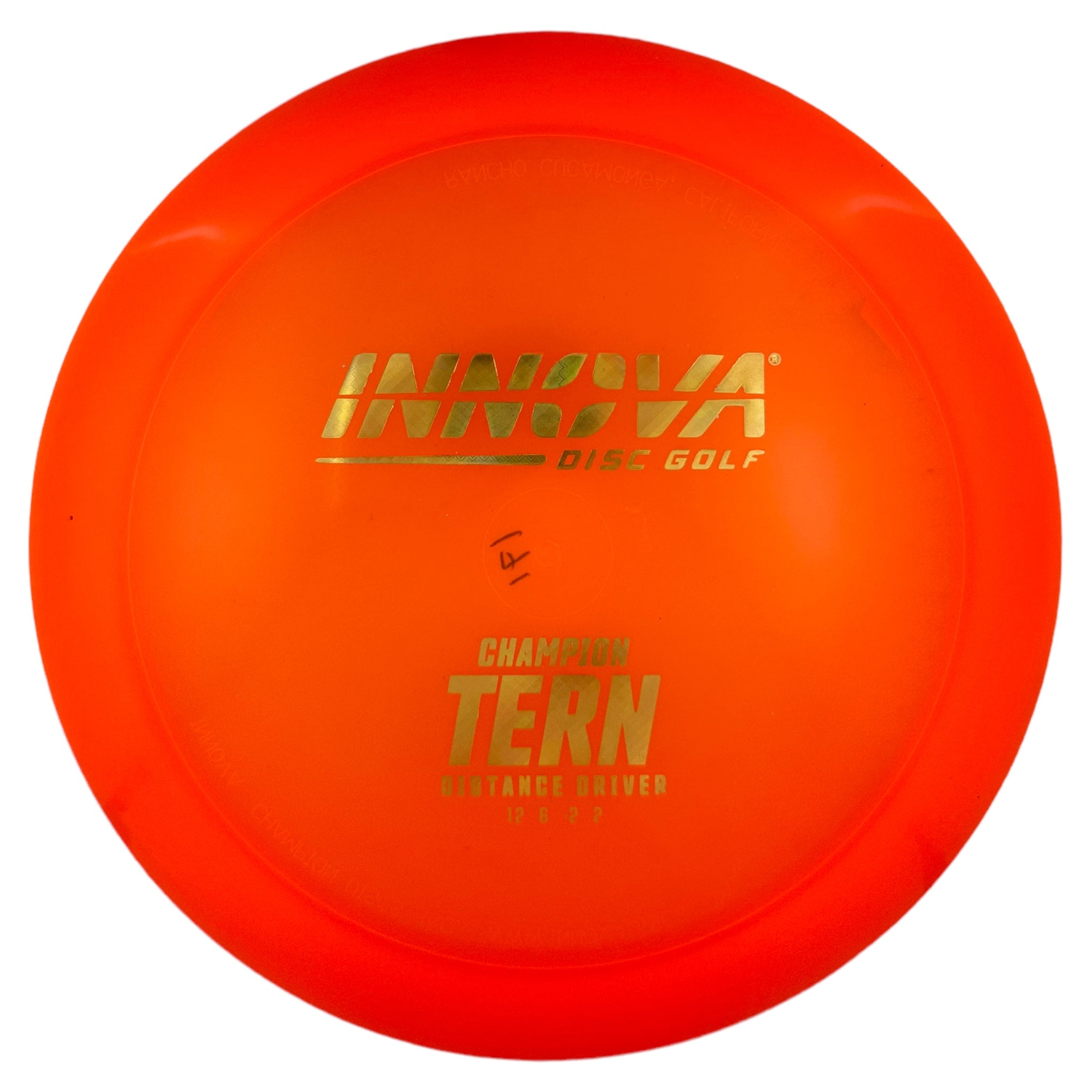 Innova Tern - Champion
