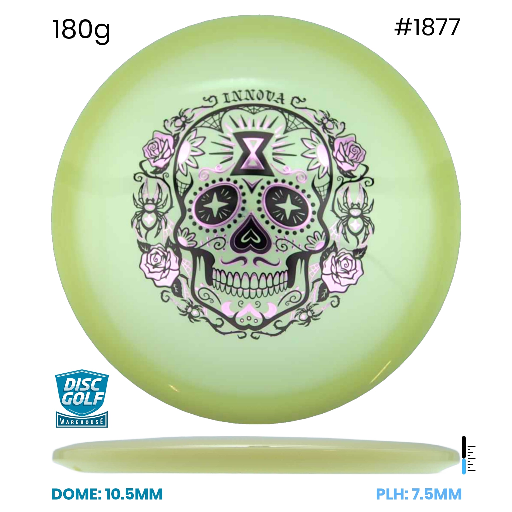 Disc Golf Warehouse Innova Arachnid - Proto Glow Champion Plastic - Halloween Stamp Glow/Purple Metallic, Gold 180g