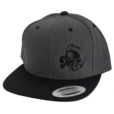 Discraft Two Tone Snapnack Hat Buzzz Design