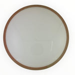 Axiom Fireball - Neutron Plastic - Blank White